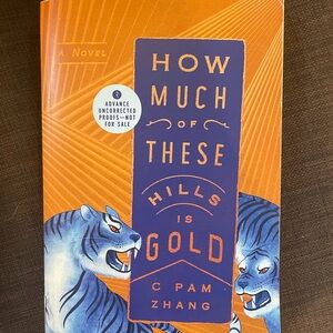 How Much of These Hills is Gold Novel